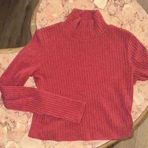 Aritzia Ribbed Crop Turtleneck Sweater in Deep Rose
